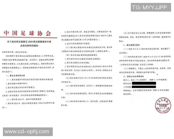 足球彩经深度解析助你精准预测赛事结果赢取丰厚奖金